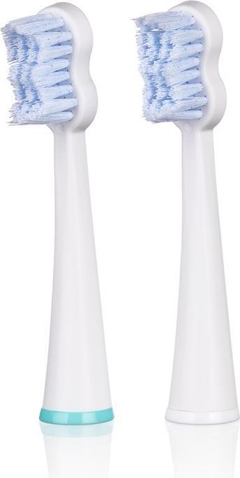 Actual product image Edel + White Sonic Generation 8 WINNER replacement brush heads: Whitening (2 x)