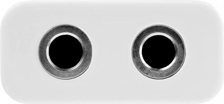 Actual product image StarTech 3.5mm zu (Splinters)