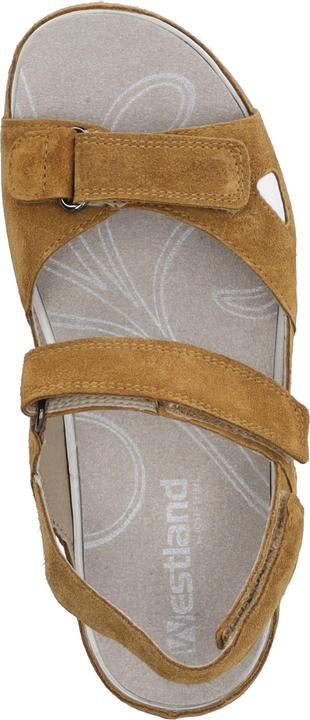 Immagine prodotto Westland 10720-28 (38)