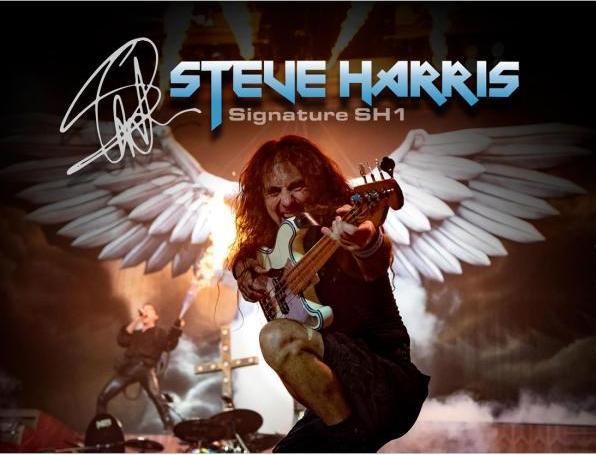 Image du produit tech21 SH-1 Steve Harris Bass Sansamp Flyrig (Contrebasse)