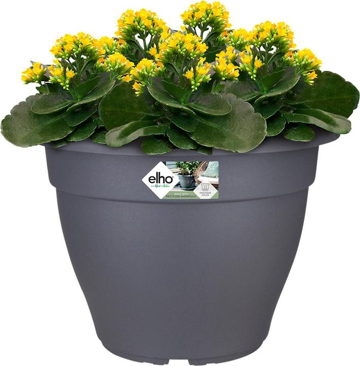 Immagine prodotto Elho Vaso di fiori (35 cm)