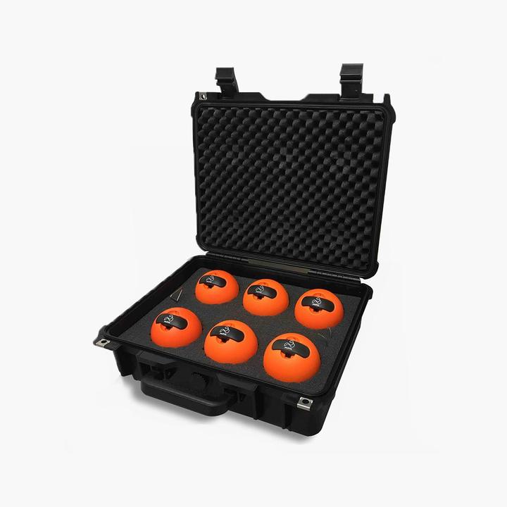 Playfinity SmartBall Team Case