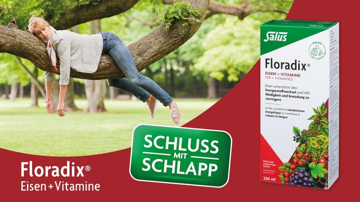 Image du produit Floradix Fer et B 12 Vegan (1 pièce(s), Capsules, 37 g)