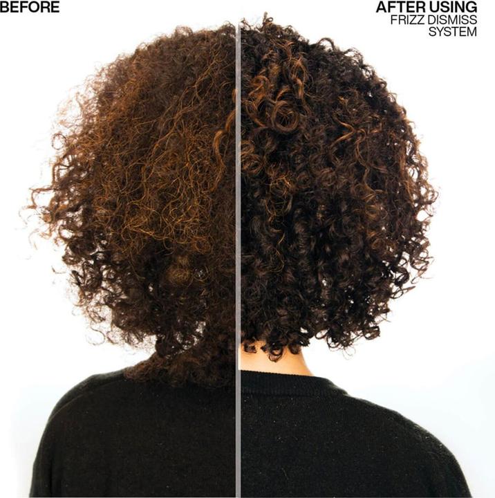 Produktbild Redken Frizz Dismiss Rebel Tame (250 ml)