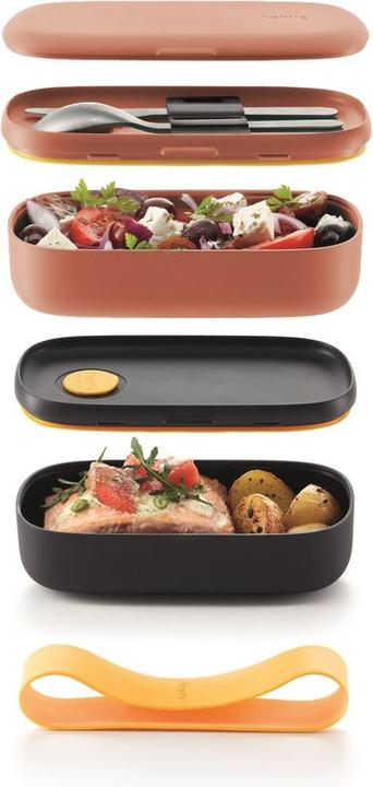 Actual product image Lékué lunch box