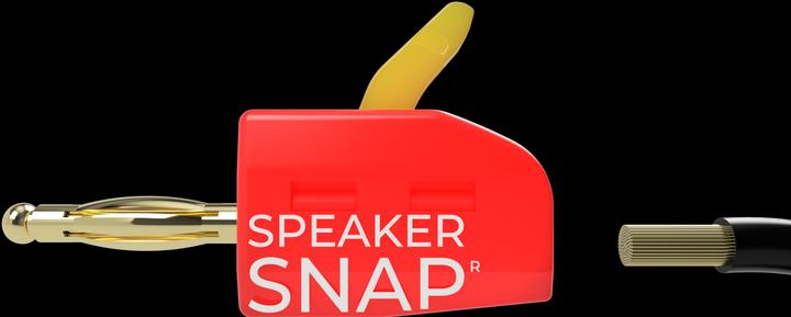 Speaker Snap SSBP2