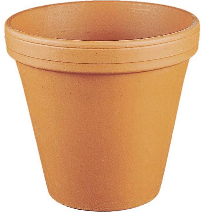 Actual product image Spang Flower pot clay Ø8,3cm pack of 5 natural (9.30 cm)