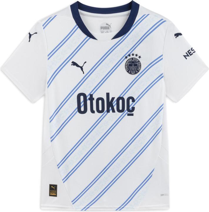 Puma FSK Away Jersey Replica Jr (116)