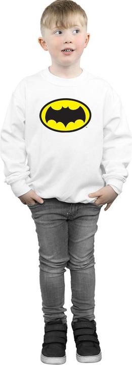 Actual product image Boys Batman TV Series Logo Sweatshirt (140, 146)