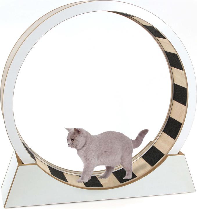 Produktbild Swisspet Katzenrad Monte Vigo