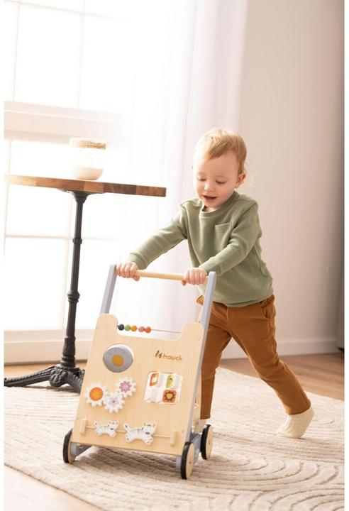 Actual product image Hauck Learn to Walk Skills