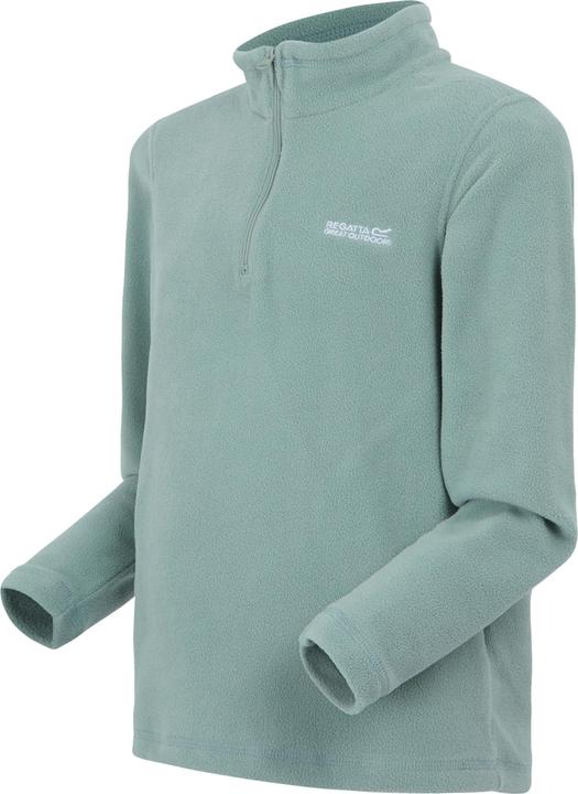 Actual product image Regatta Great Outdoors Childrens/Kids Hot Shot II Half Zip Fleece Top (128)