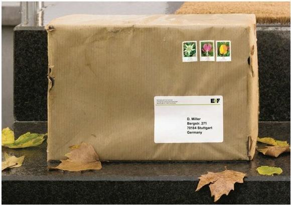 Actual product image HERMA Weatherproof shipping labels A4