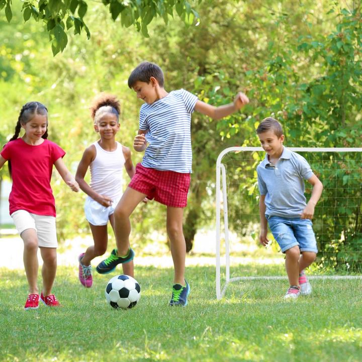 Actual product image Relaxdays football goal