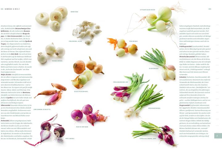 Immagine prodotto Aroma Gemüse (Tedesco, Thomas Vierich, Thomas Vilgis, 2021)
