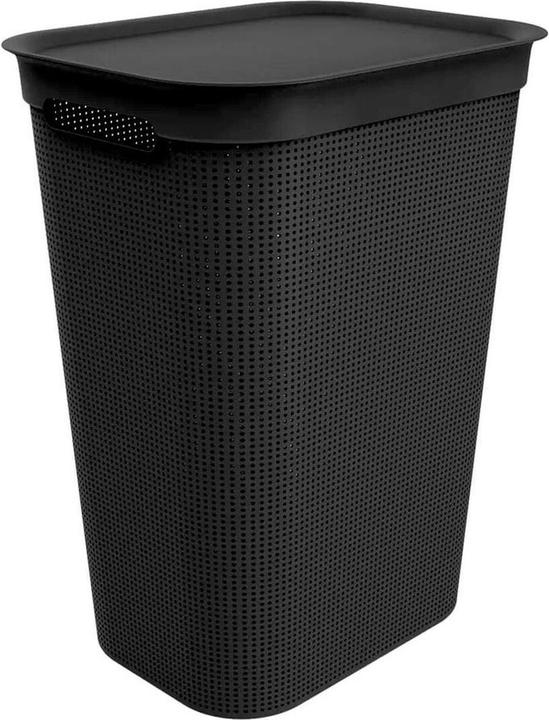 Actual product image Rotho Brisen (50 l)