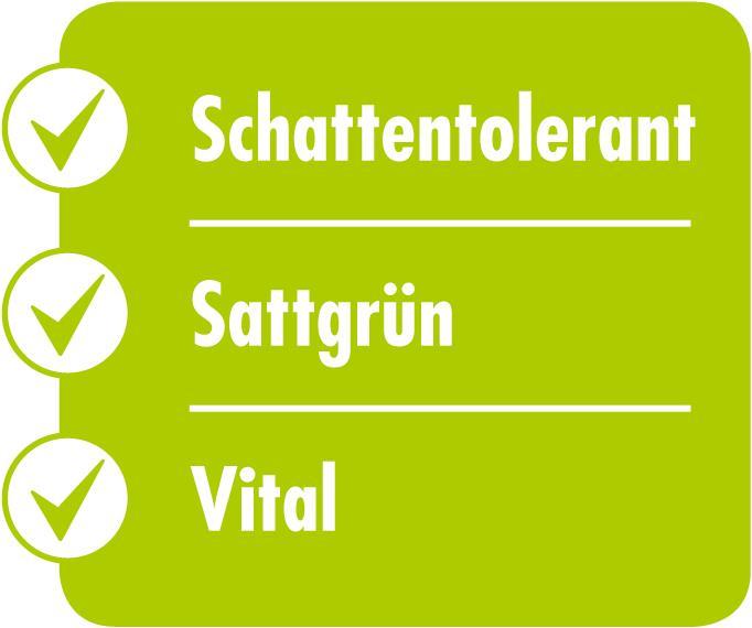 Produktbild Schweizer Umbra Royal (Rasensamen)
