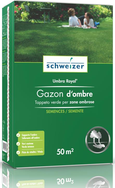 Produktbild Schweizer Umbra Royal (Rasensamen)