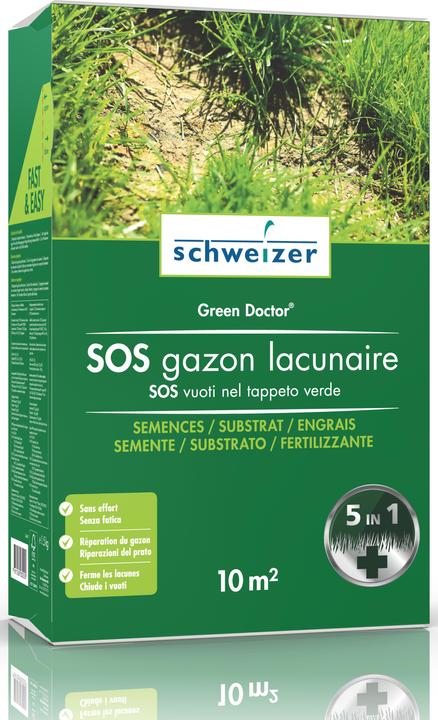 Schweizer Dottore Verde (Risemina del prato)