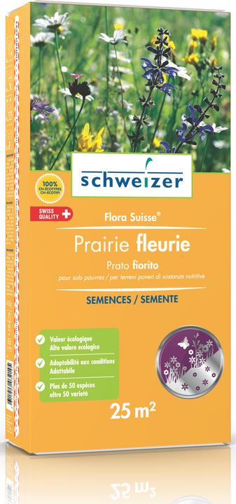 Schweizer Flora svizzera (Risemina del prato)