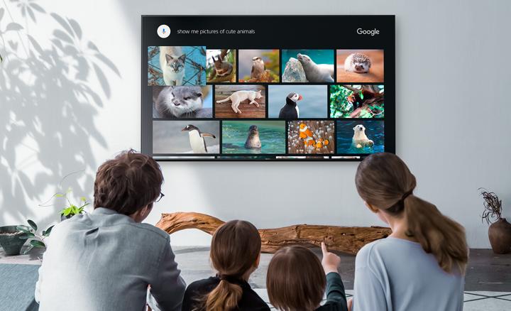 Produktbild Sony Kd-43xf8505 (43", LCD, 4K, 2018)