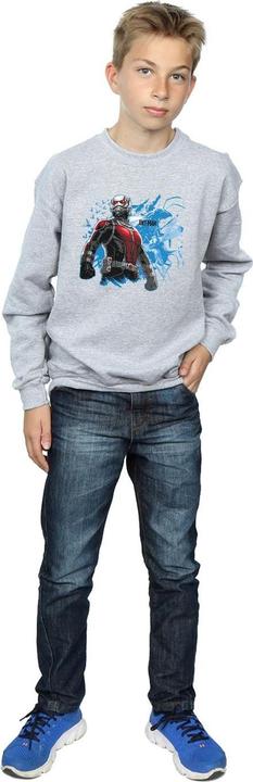 Produktbild Jungen AntMan Stehendes Sweatshirt (152, 158)