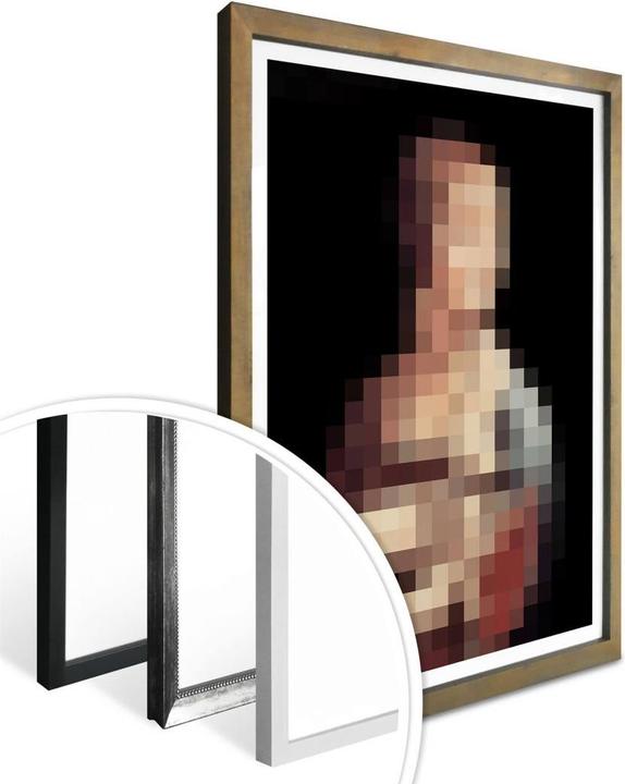 Image du produit Trenddeko Pixelart - da Vinci - La dame à l'hermine (30 x 40 cm)