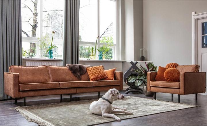 Image du produit BePureHome Rodeo