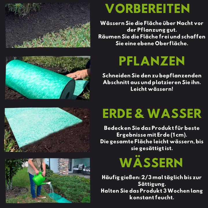 Image du produit Starlyf Grass Seed Mat (Graines de plantes)