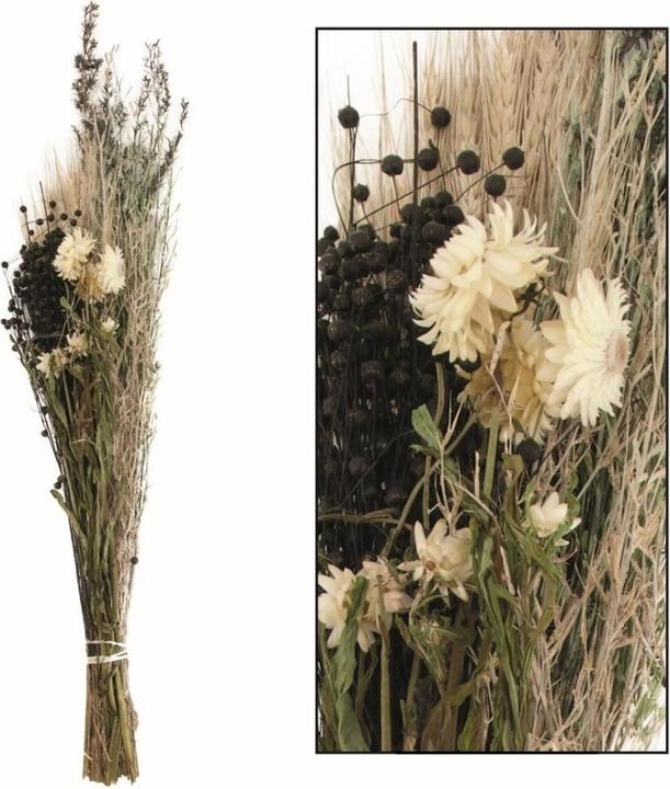 Actual product image Dijk Dried flower bouquet (Dried flowers)