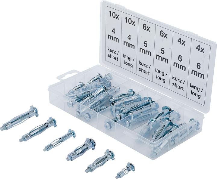 Actual product image BGS Molly Bolt Assortment 40 pcs. (1 pcs.)
