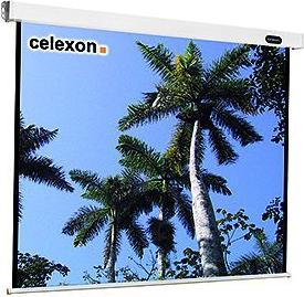 Celexon Mobile Expert Folding Frame Screen - Canvas (99.61", 4:3)