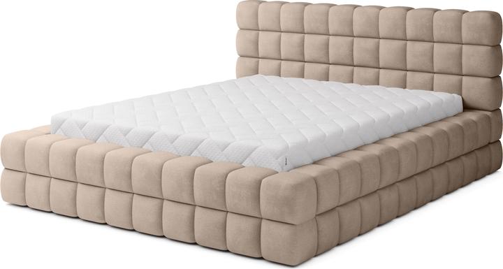 Beige Amore 18