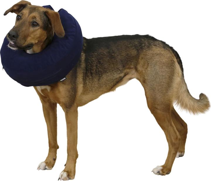 Produktbild Kerbl Hundehalskrause, Halskrause aufblasbar Hunde Hund, 3 Gr Halsumfang 18-50cm (18-30cm) (Hund)