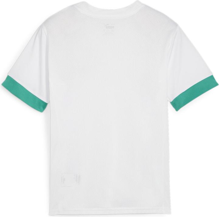 Actual product image Puma teamGOAL Matchday Jersey jr (128)