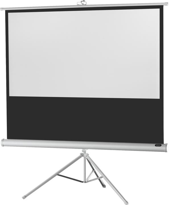 Celexon Economy statiefscherm - Projectiescherm met statief - 181 cm (71") (71.26", 16:9)