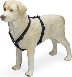 Image du produit Karlie Art Sportiv Plus Tableware New Universal Colours Mix and Match (M, Chien, Promenade)