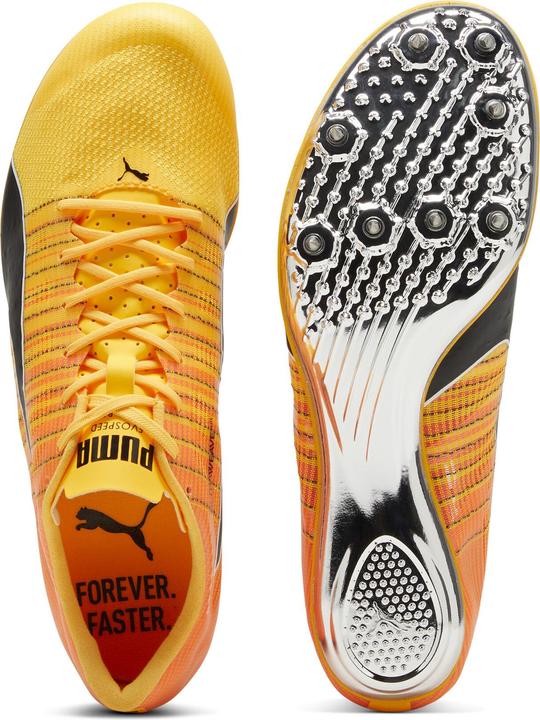 Produktbild Puma evoSPEED BRUSH 6 (47.5)