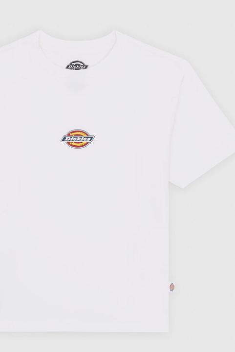 Dickies Maple Valley Reg Tee W White