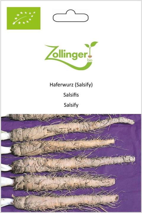 Actual product image Zollinger Bio Oat Root (Salsify) (Seedlings)