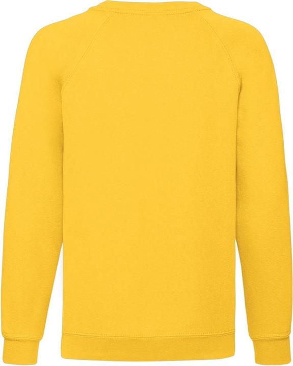 Actual product image Fruit of the Loom Childrens/Kids Classic Raglan Sweatshirt (116)