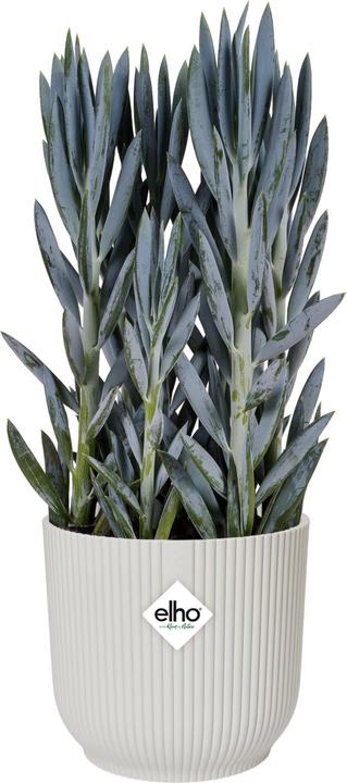 Produktbild Elho Vibes Fold (25 cm)
