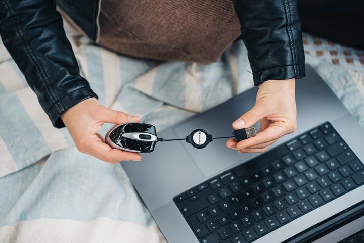Image du produit Verbatim Go Mini (Filaire)
