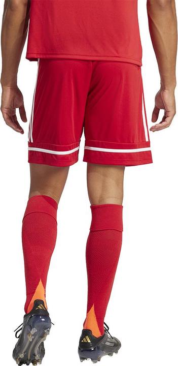Actual product image adidas Squadra 25 Short (M)