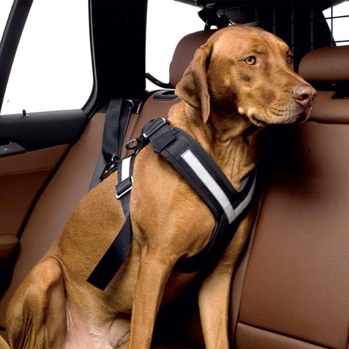 Image du produit Kleinmetall Ceinture de sécurité Allsafe pour chiens (M, Chien, Travail, Sport canin, Jogging, Promenade)