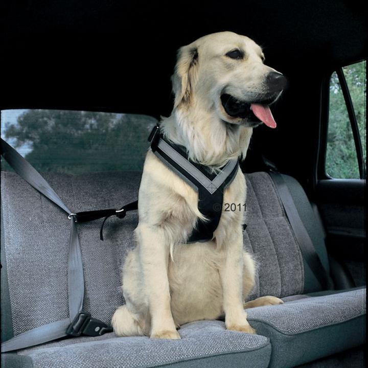 Image du produit Kleinmetall Ceinture de sécurité Allsafe pour chiens (M, Chien, Travail, Sport canin, Jogging, Promenade)