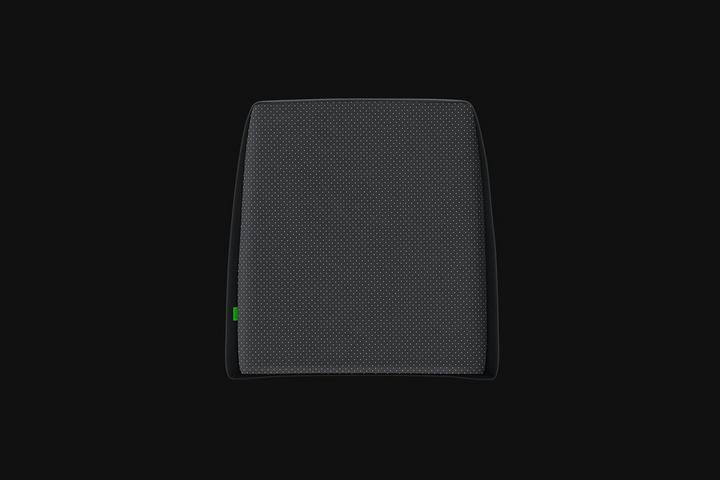 Actual product image Razer Lumbar Cushion