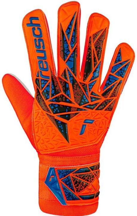 Actual product image Reusch Attrakt Starter Solid goalkeeper gloves (7.5)