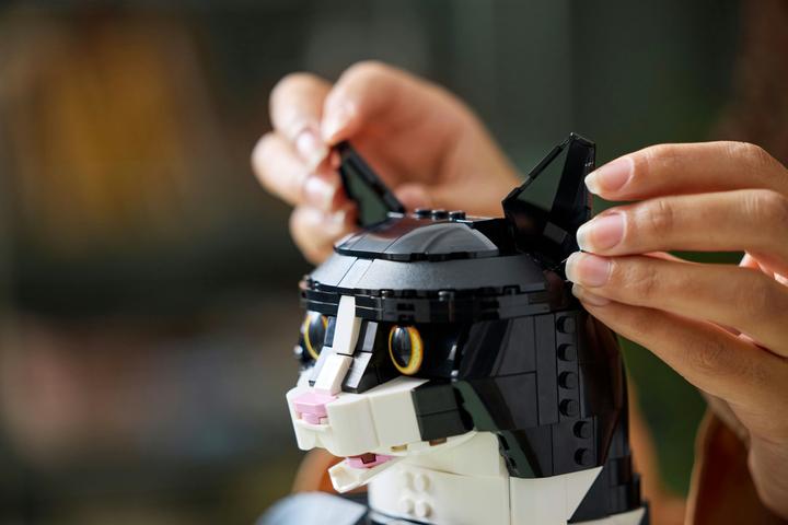 Produktbild LEGO Schwarz-weisse Katze (21349, LEGO Seltene Sets, LEGO Ideas)
