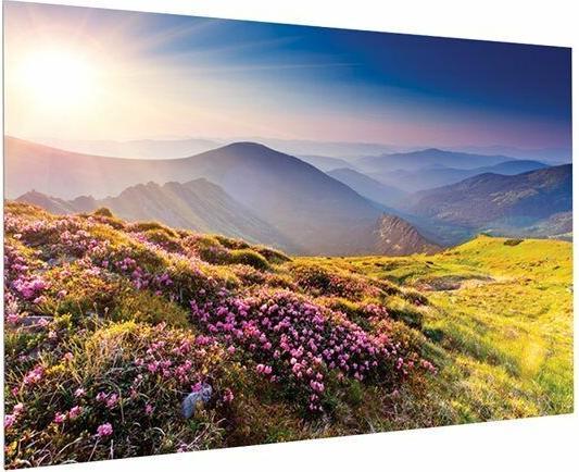 Produktbild Projecta FullVision - 4,01 m (158 Zoll) - 3,5 m - 197 cm - 16:9 - HD Progressive 1.1 (158", 16:9)